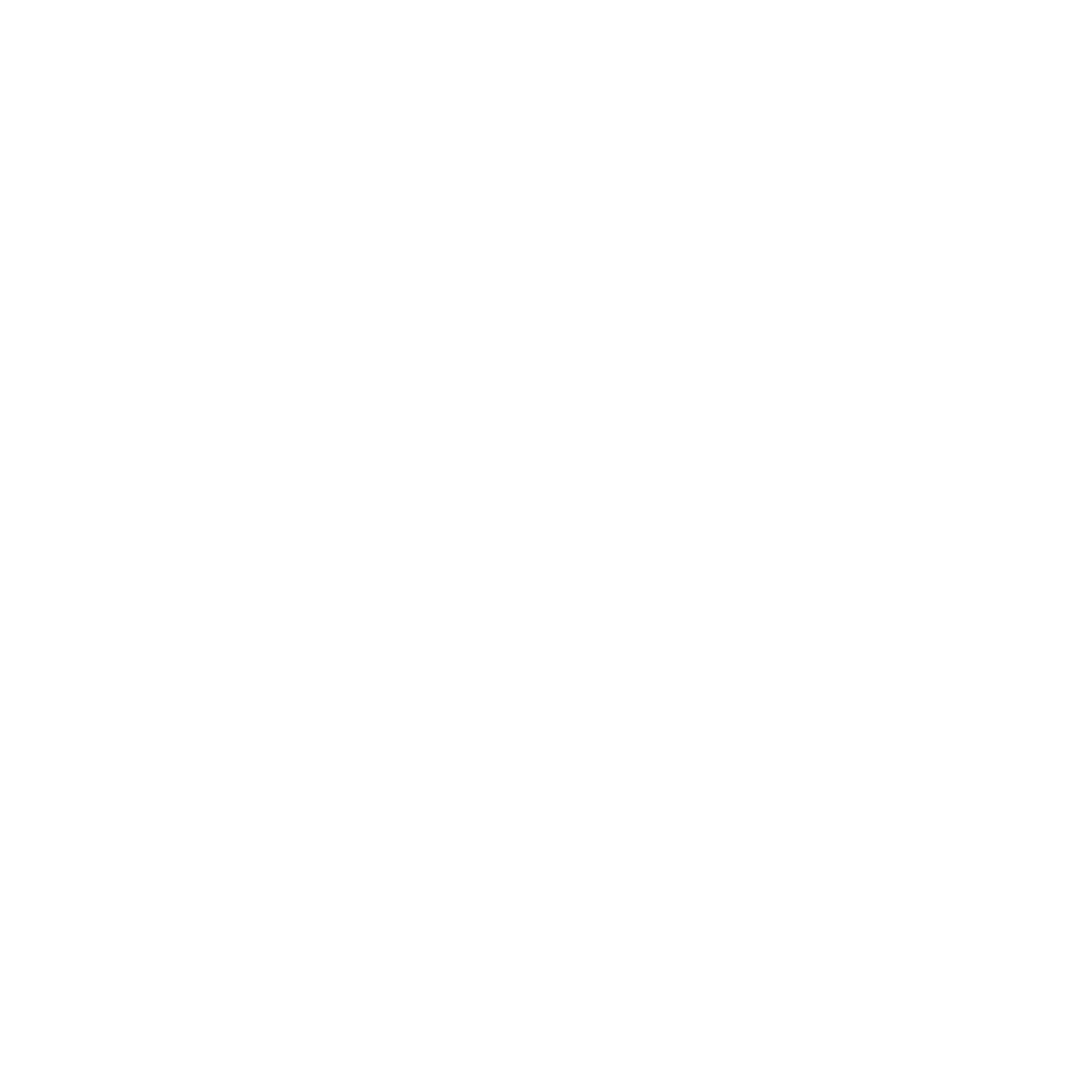 Transient Geometry logo No background White